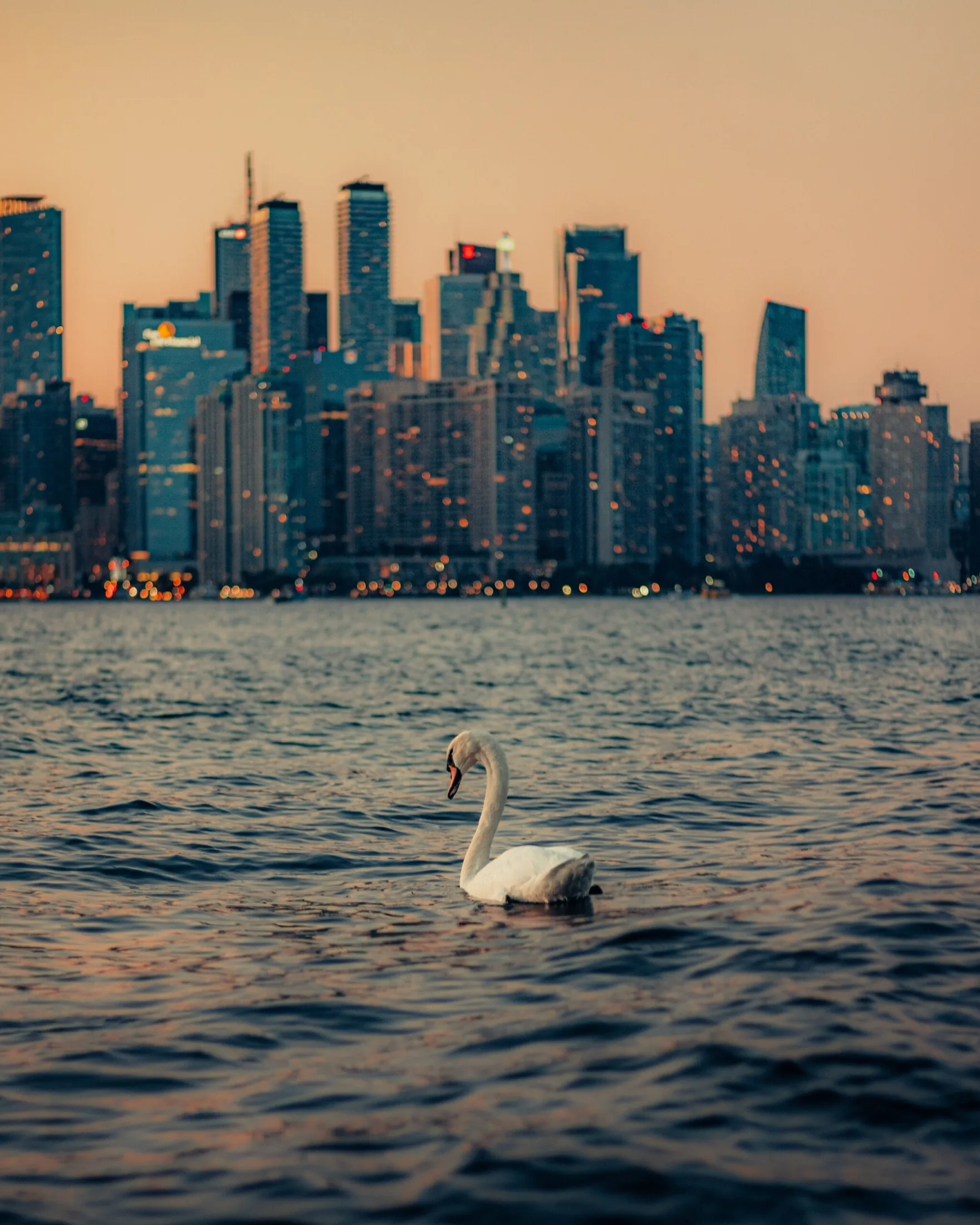 Canada travel photography 28 — David Garí Photography