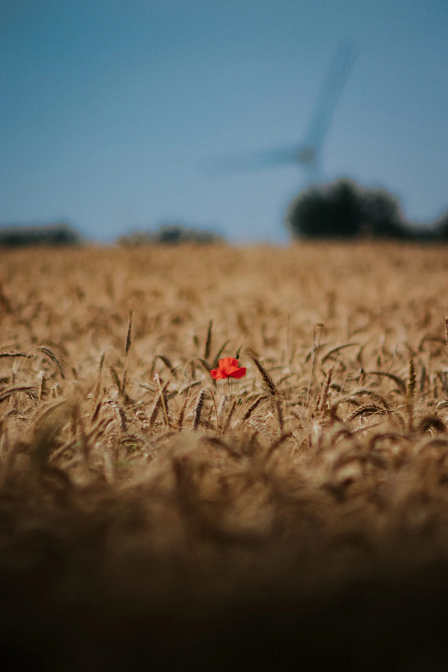 Germany travel photography 14 — David Garí Photography