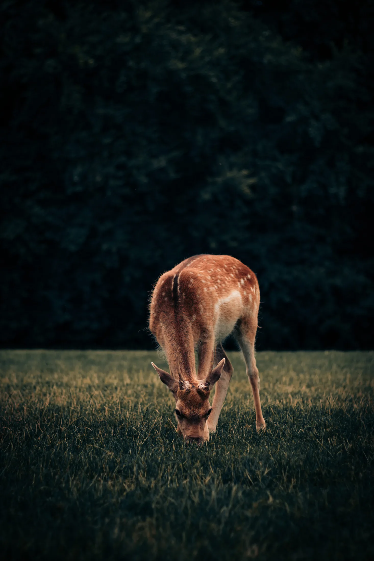 Germany travel photography 15 — David Garí Photography