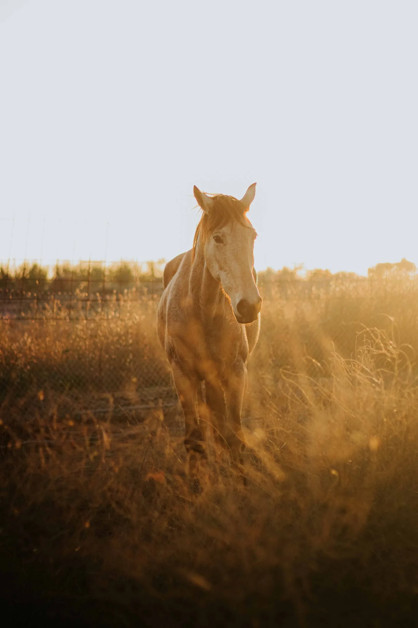 Spain travel photography 3 — David Garí Photography