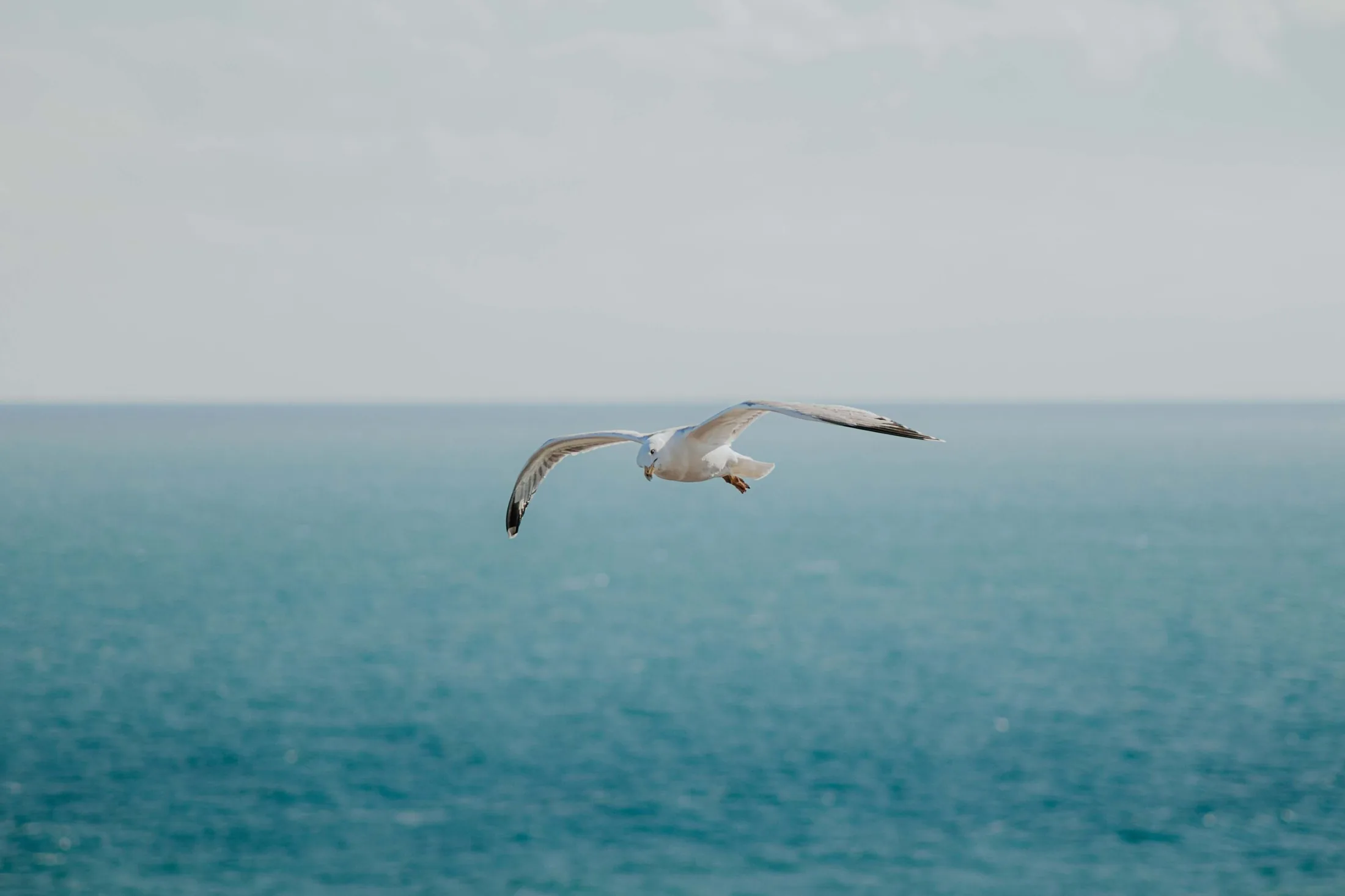 Spain travel photography 30 — David Garí Photography