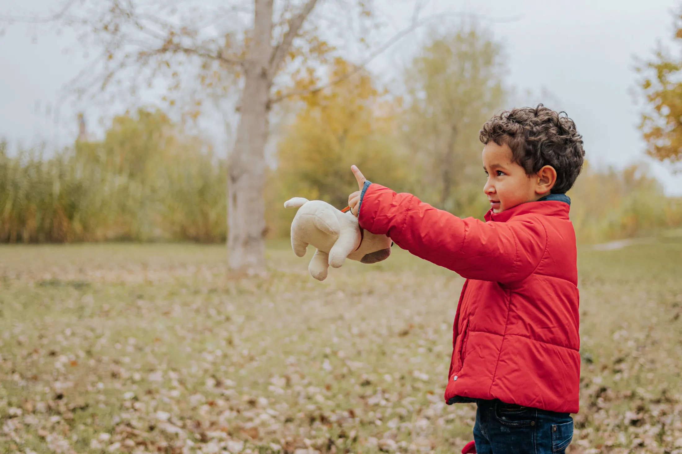 Stock photography 43 — David Garí Photography